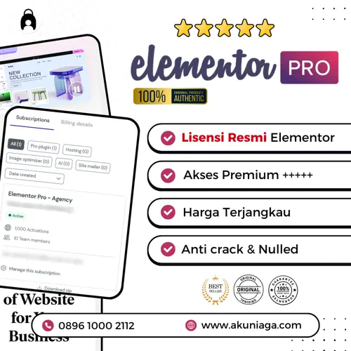 Lisensi Elementor PRO 100 Domain